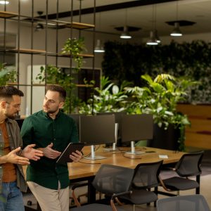 Zimmerpflanzen Hydrokulturen im Büro für ein besseres Klima